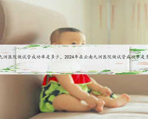 云南九洲医院做试管成功率是多少，2024年在云南九洲医院做试管成功率是多少